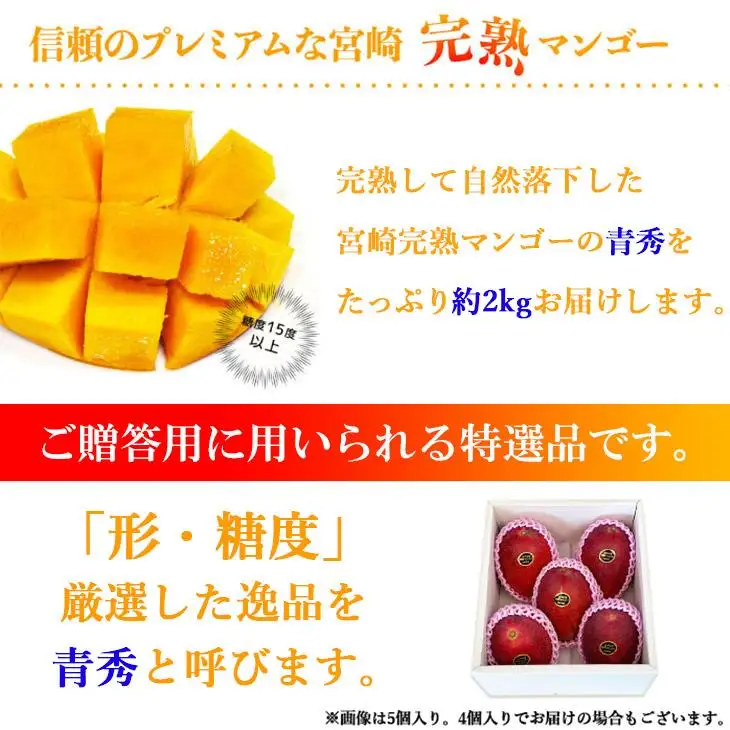 宮崎県産完熟マンゴー[青秀] 合計約2kg（4～6玉）