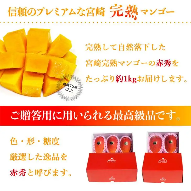 宮崎県産完熟マンゴー[赤秀] 合計約1kg（2～3玉）