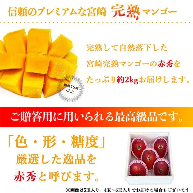 宮崎県産完熟マンゴー[赤秀] 合計約2kg（4～6玉）