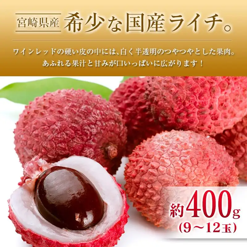 ◆宮崎県産 マンゴー＆ライチセット（合計約1.4kg）