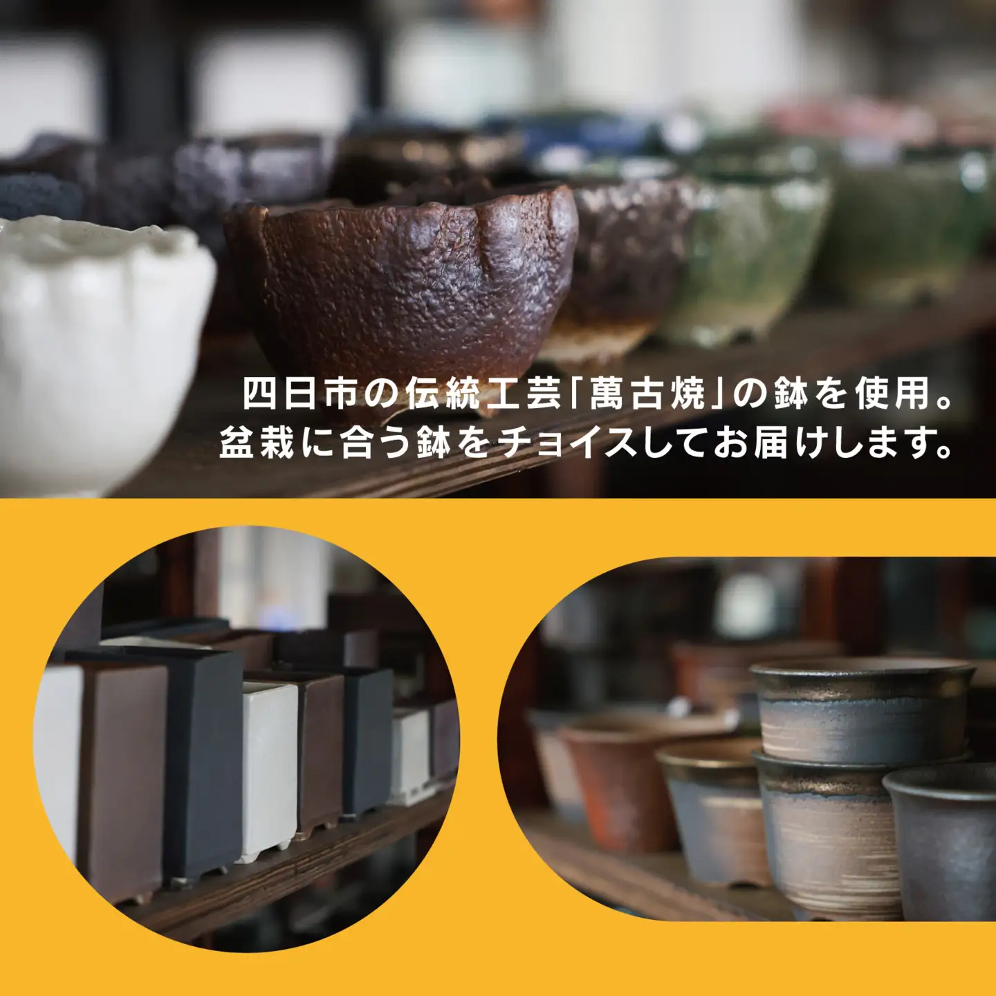 「デスクトップ盆栽」という新提案を四日市から（ミニチュアなし）