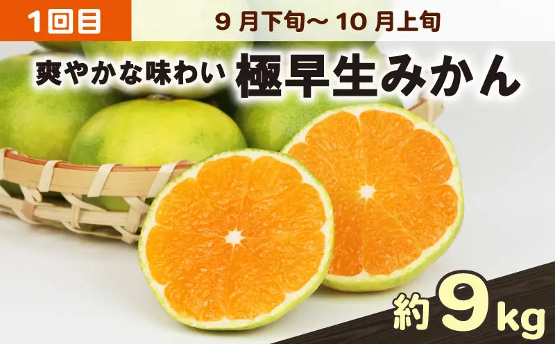愛媛みかん 旬の みかん 定期便 3回 家庭用 9kg ×3回 極早生 早生 中生 兵頭農園 先行予約 温州 ごくわせ わせ なかて 3ヶ月 mikan 愛媛ミカン 愛媛蜜柑 果物 くだもの フルーツ 柑橘 甘い ジューシー 果肉 蜜柑 産地直送 農家直送 数量限定 国産 愛媛 宇和島 B036-055006