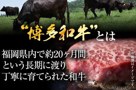 ステーキ 博多和牛モモステーキ 500g CP040