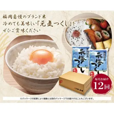 Z17-86 寄附額改定↓↓ 無洗米 元気つくし10kg定期便(毎月・年12回)