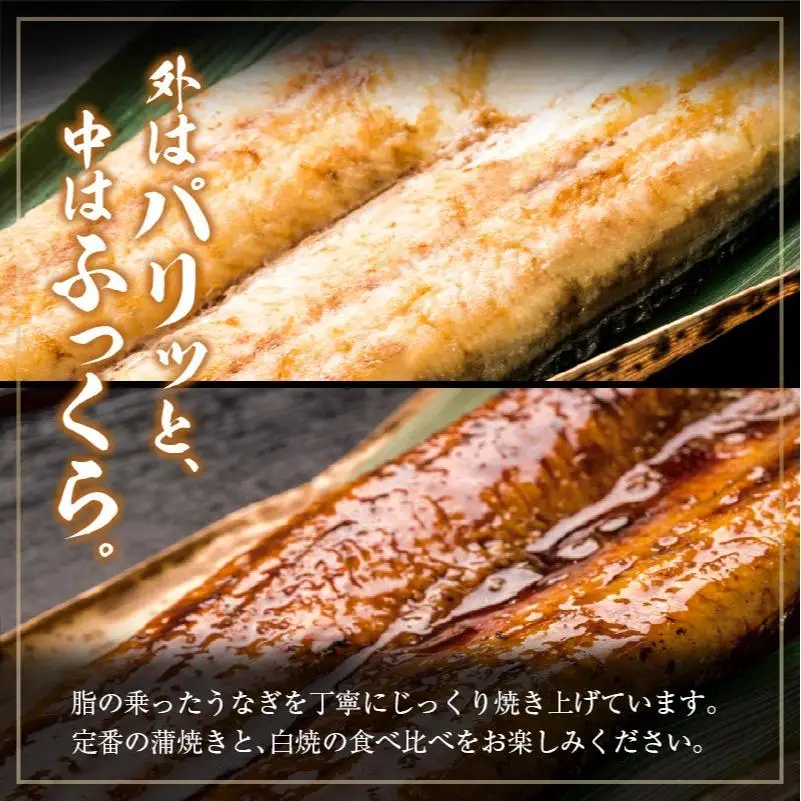 ◆中村商店 うなぎ白焼・蒲焼セット 合計362g以上 肝焼き付
