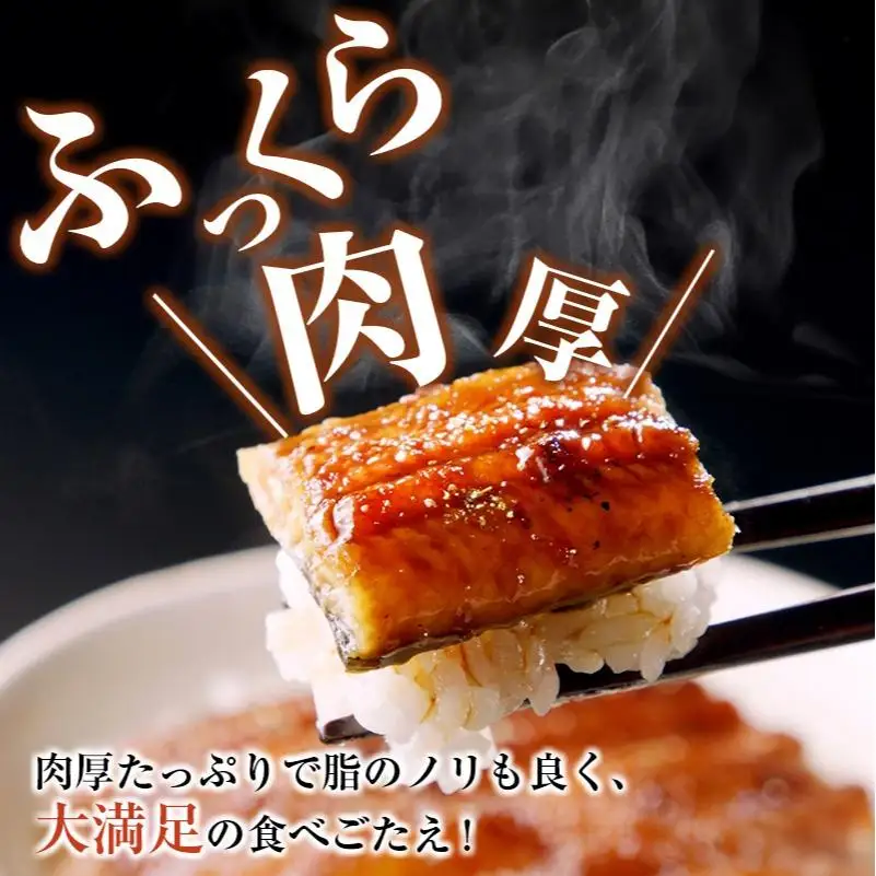 宮崎県産 うなぎ 蒲焼 切身 20パック 計1kg 個包装 国産 鰻 20枚