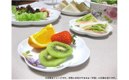 有田焼 花かれんアプリコット皿 (S) (2枚組) 大慶 A17-4
