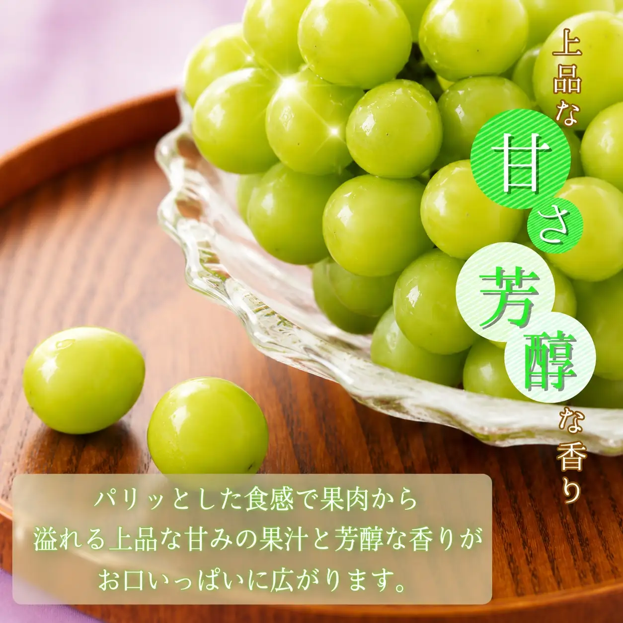 紀州和歌山産 シャインマスカット 約2kg ※2026年8月下旬頃～2026年9月上旬頃に順次発送 ※日付指定不可 ぶどう ブドウ 葡萄 マスカット 果物 くだもの フルーツ 人気 旬の果物【uot798】