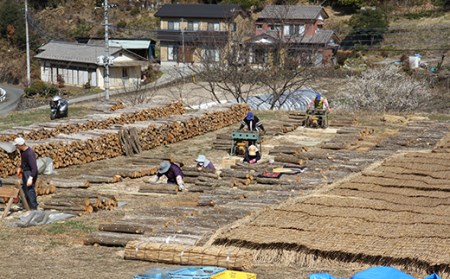昔なつかしい 原木生しいたけ 椎茸 シイタケ 濃厚 香り 旨みたっぷり だし うまみ ワンランク上 F21K-012