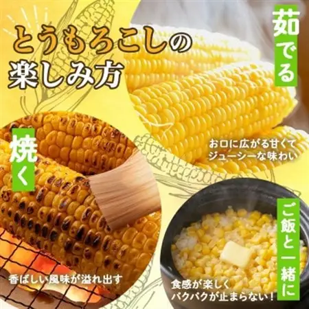 【2026年 先行受付】十勝 恵味ゴールド 10本 2Lサイズ 甘いスイートコーン 北海道 帯広市_野菜 とうもろこし  トウモロコシ_【配送不可地域：離島】【1499657】