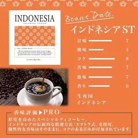 コーヒー豆 インドネシア 100g 1袋 鮮度を高めたスペシャリティコーヒー 北海道 帯広市_飲料・ドリンク コーヒー豆 コーヒー・コーヒー豆 珈琲 珈琲豆_【1503294】