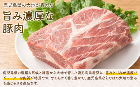 ＜訳あり＞鹿児島県産 豚ロース スライス【隔月3回定期便】500g×3P 株式会社 コワダヤ《お申し込み翌月から出荷》鹿児島県 さつま町 豚 ブタ肉 ロース肉