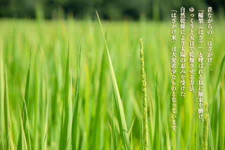 玄米 5kg 新潟県産 コシヒカリ はざ掛け 天日干し 令和7年産 越後奥阿賀産 | 小会瀬 はざがけ こしひかり 一等米 送料無料 お取り寄せ お米