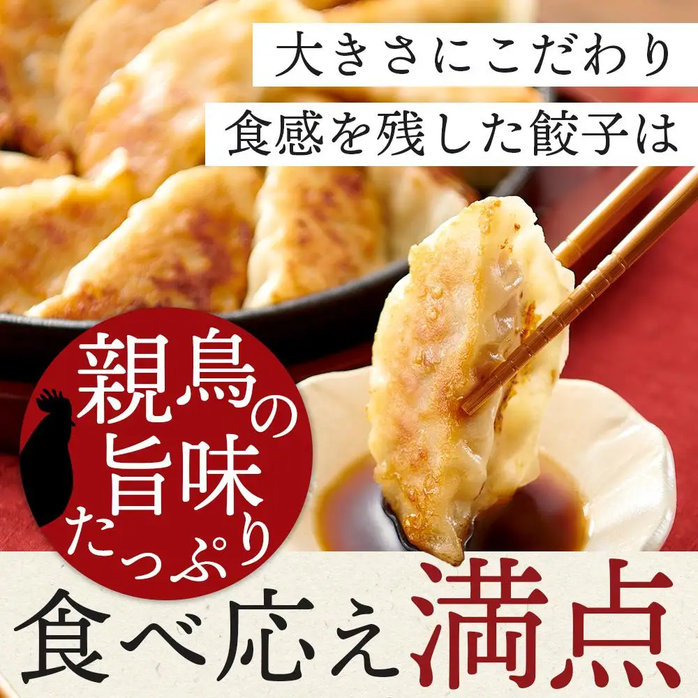 親どり専門店が作る親鳥餃子（8個×3パック）