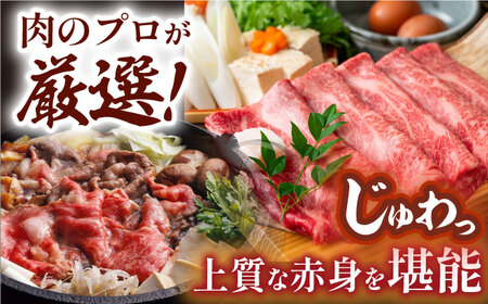 【厳選部位】【A4?A5】長崎和牛サーロインしゃぶしゃぶすき焼き用　500g【株式会社MEAT PLUS】[MG06]