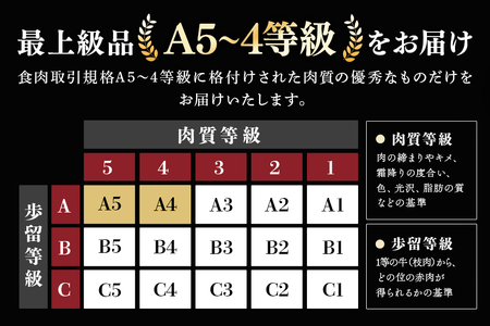 飛騨牛 A5～4等級 すき焼き用 ( 肩ロース ・ ロース ) 500g (A01-004)