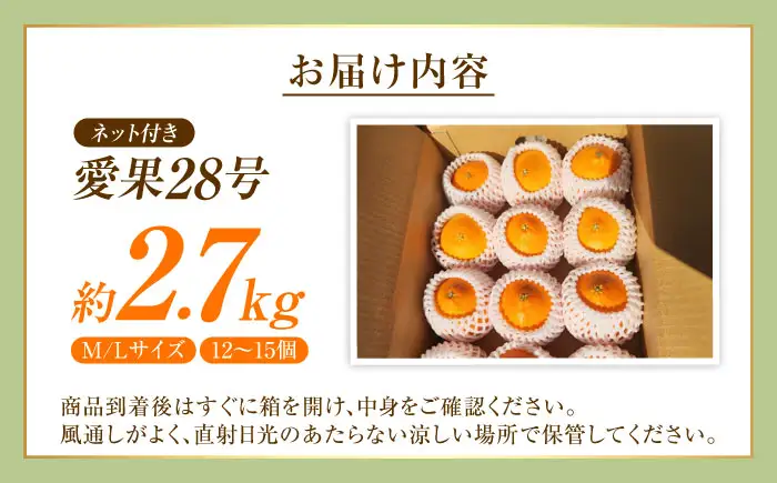 みかん 愛果28号 約2.7kg M-Lサイズ フルーツ 果物 みかん BJBG001