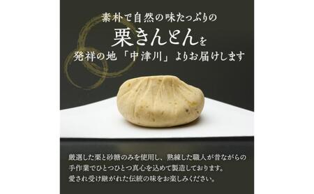 中津川銘菓：栗きんとん12個（6個入×2箱）[秋季限定]【10月お届け】 F4N-2304