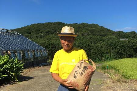 【令和7年産】南房総市産コシヒカリ白米5kg mi0018-0012 白米 お米 ご飯 食品 国産 おにぎり こしひかり