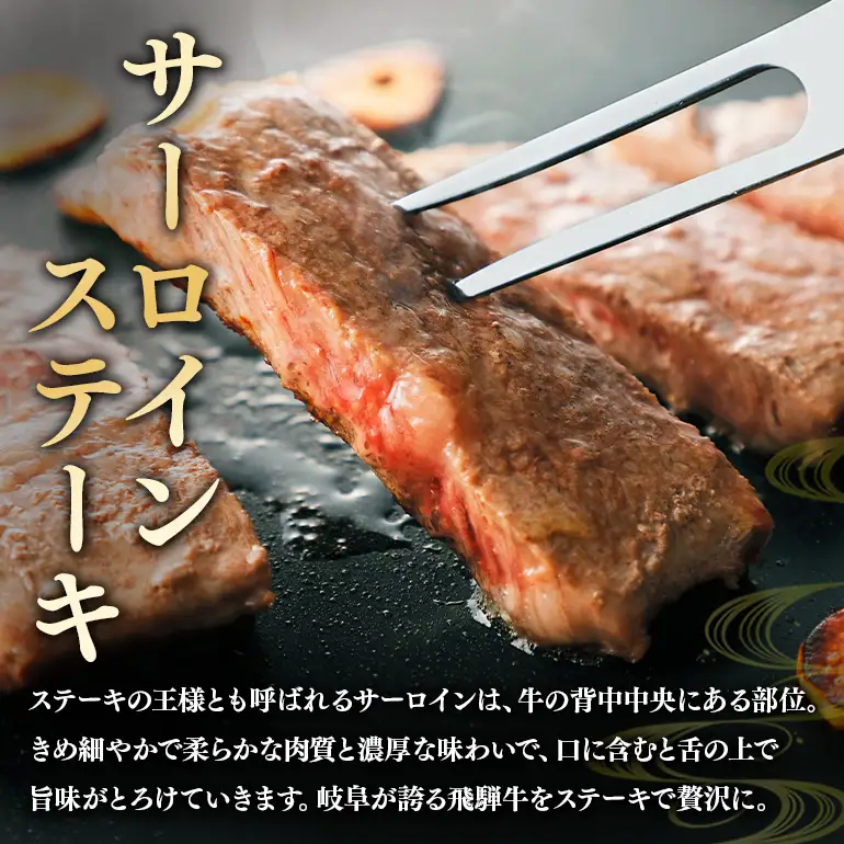 飛騨牛 A5～4等級 プチ贅沢セット (A01-012)