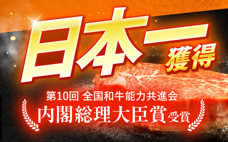 長崎和牛A5ランクヒレステーキ 150g×2枚[OCH019]