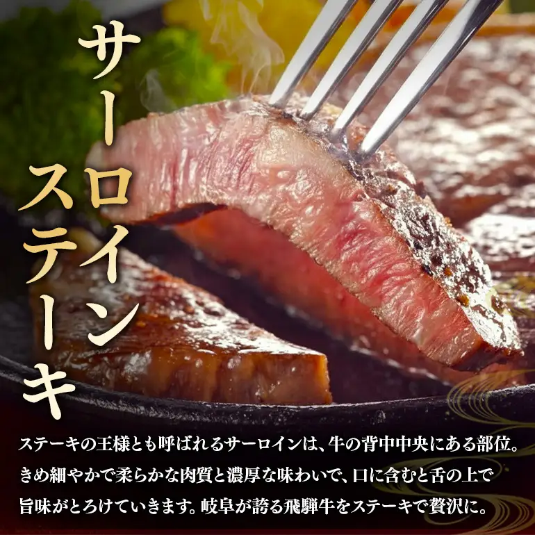 飛騨牛 A5～4等級 スペシャルセットA (A01-020)