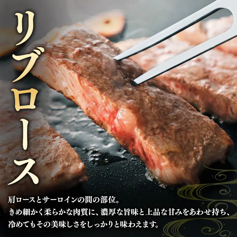 飛騨牛 A5～4等級 スペシャルセットC (A01-023)