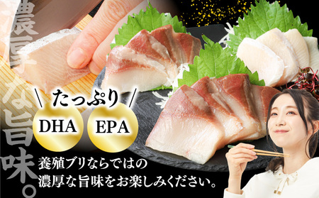 活〆 新鮮 ぶり フィレ 2枚（ 半身 ） M079-010-02 魚 冷凍