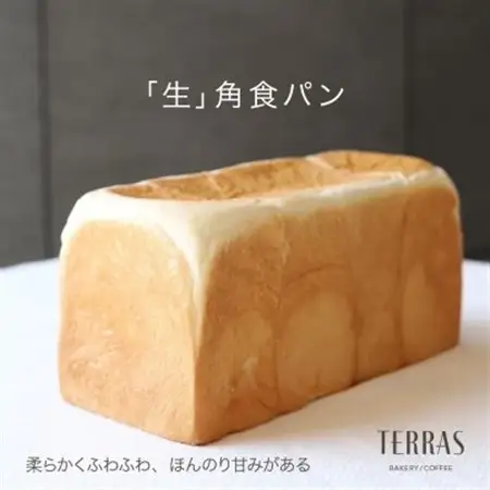 こだわり食パン食べ比べ2本(4斤)セット【配送不可地域：離島】【1531741】