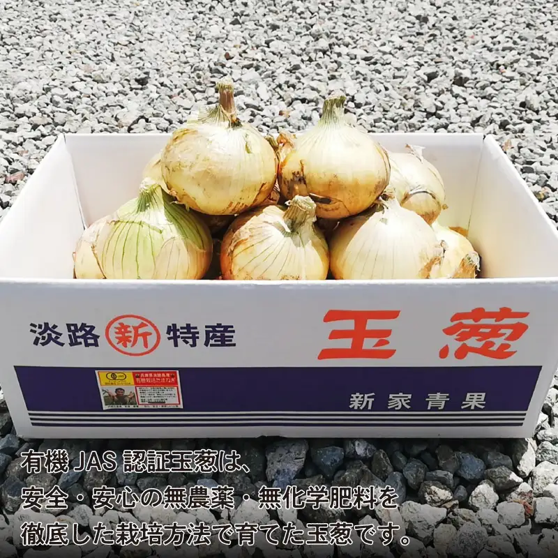 淡路島産有機栽培玉葱10kg JAS認定オーガニックたまねぎ  / 玉ねぎ 玉葱 たまねぎ 有機JAS オーガニック
