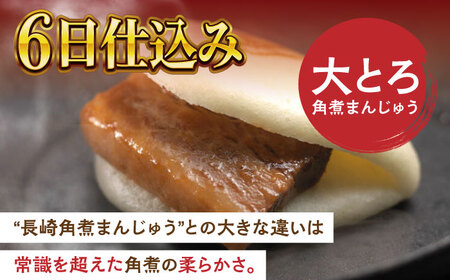 【全3回定期便】角煮まんじゅう三種食べくらべセット(長崎角煮まんじゅう×4・大とろ角煮まんじゅう×2・チーズ角煮まんじゅう×2)【株式会社岩崎食品】[QBR043]