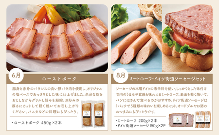 【定期便 全6回：偶数月発送】お肉のおかず定期便［みなみさつまのミートデリ］ ハンバーグ ウインナー ソーセージ ローストポーク ハム ピスタチオ入り フランクフルト ミートローフ ローストビーフ 鹿児島県産 冷蔵 冷凍 南さつま市