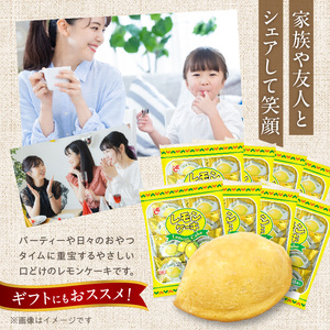 エースベーカリー　レモンケーキ　8個×10袋 ［134T02］