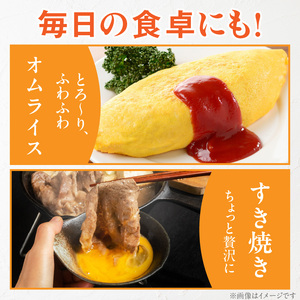 【山ちゃん家の生みたて葉酸たまご】名古屋コーチン卵（30個入り）[132Y01]　 新鮮たまご 産地直送たまご 大容量 高級たまご 地鶏 たまご 卵 玉子 タマゴ 葉酸卵 妊娠中 高齢者 朝食 卵料理 卵かけご飯 卵焼き 目玉焼き 山田養鶏 お取り寄せグルメ 