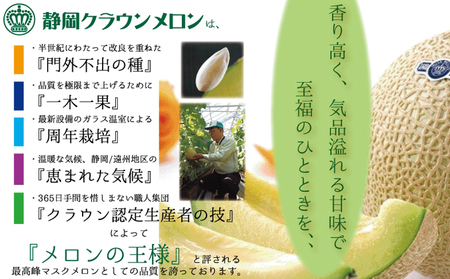 クラウンメロン大玉（白等級）５玉詰 果物類 メロン青肉 5玉 