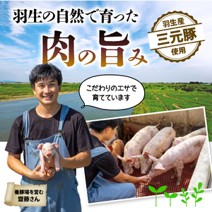 豚ロース 生姜焼き 1.2kg ( 300g ×4P ） 国産 豚ロース 冷凍