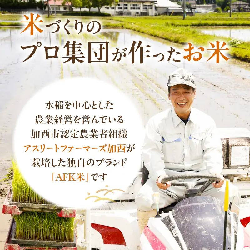 特別寄附額 米 令和7年産 有機 ・ 減農薬栽培米 キヌヒカリ 白米 10kg（5kg×2） 数量限定 お米 精米 単一品種 単一原料米 国産 兵庫県産