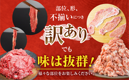 定期便 全4回 訳あり 飛騨牛 結旨豚 約2.3kg 定期便 [S827]