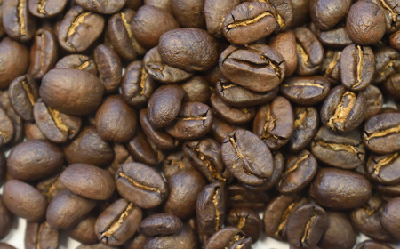 スペシャルティコーヒー豆 ミャンマーウォッシュド 200g×2　計400g【TAIYO COFFEE ROASTERS】ミャンマー 珈琲 コーヒー コーヒー豆 スペシャルティ スペシャリティ 下呂市【102-4】