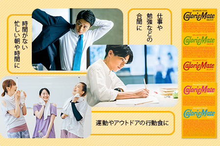 【12回定期便：合計360箱】 カロリーメイト ブロック 4本入り 5種類 各6箱 計30箱 【大塚製薬 定期便 チョコ バニラ メープル チーズ フルーツ 5大栄養素 徳島県 那賀町 非常食 常備食 災害 新生活 備蓄 長期保存 栄養食 定期便】MS-1-12