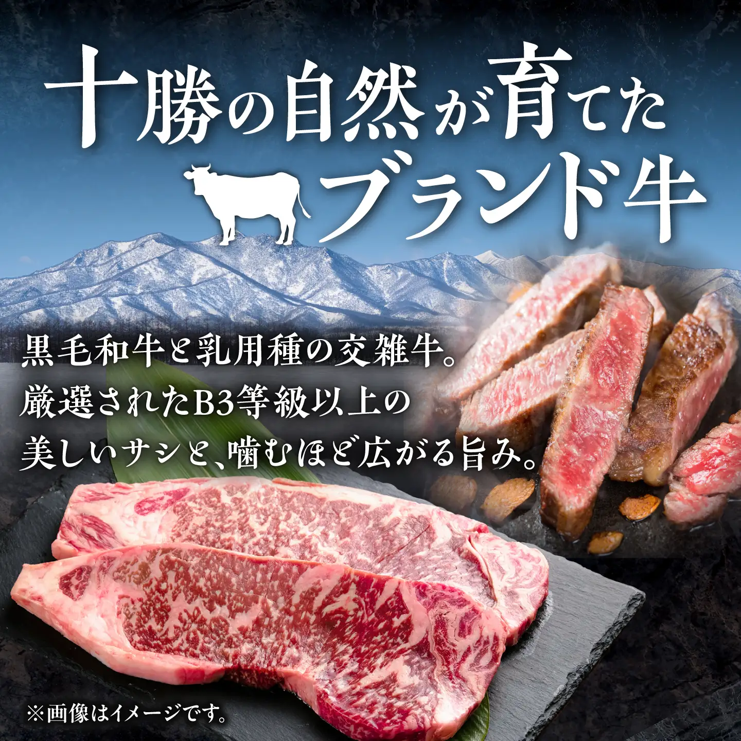 【お中元対象】十勝彩美牛 サーロインステーキ 約600g | 株式会社上田精肉店 [BNAM035]