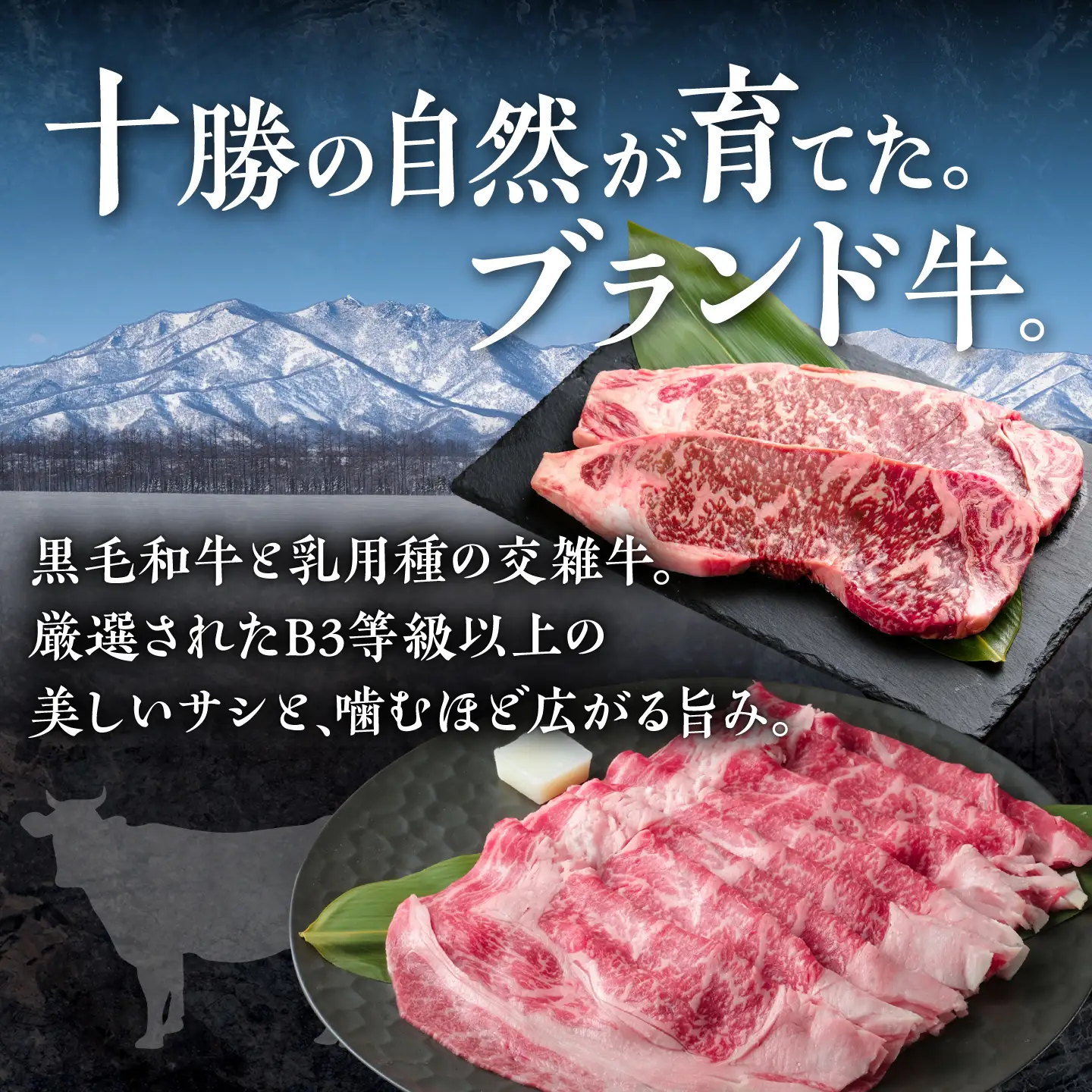 十勝彩美牛 サーロインステーキ・すき焼き リブロースセット 計900g | 株式会社上田精肉店 [BNAM036]