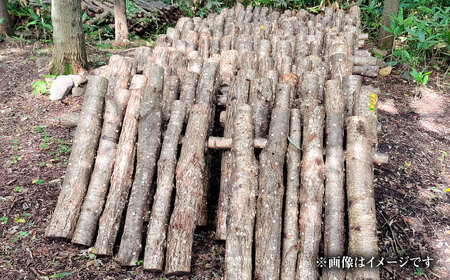 原木しいたけ栽培 ほだ木 2本 | 合同会社カルシ [BNAU004]
