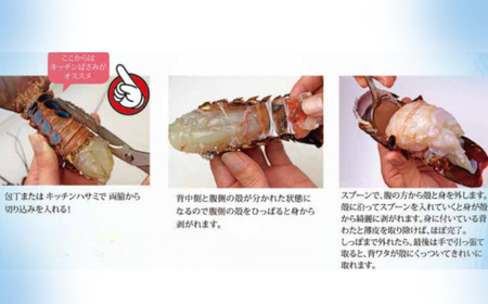 【 伊勢海老 】 活き〆冷凍伊勢海老 3kg