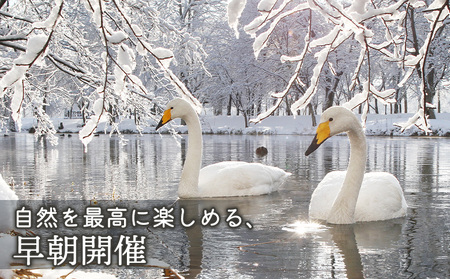 まちなか散策フォトツアー体験チケット(１人分)【3201201】
