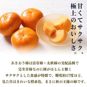 【2026年11月上旬より順次発送】福岡県産 博多秋王【優等品】約1.75kg以上(6玉入り)うまうまもぐもぐ