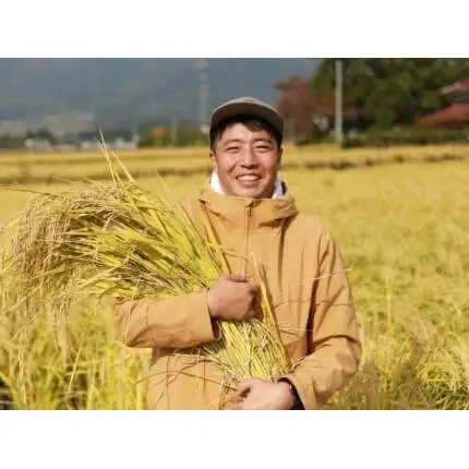 【精米】令和7年産 ひとめぼれ 精米 10kg 白米 DZ002