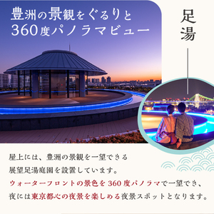 東京豊洲 万葉倶楽部　日帰り入館券2枚 【kt003-001-2】 温泉