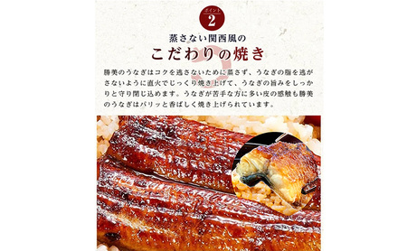 国産うなぎ弁当【特上】2食セット