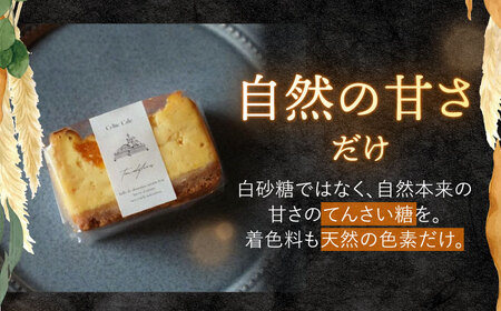 西海みかん チーズケーキ 6個 CEM007 ケーキ